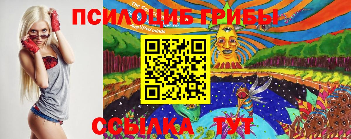 Псилоцибиновые грибы Psilocybe  купить наркотик  Курчатов  Вход с VPN 